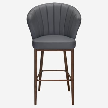 Premium Aria Metal Bar Stool