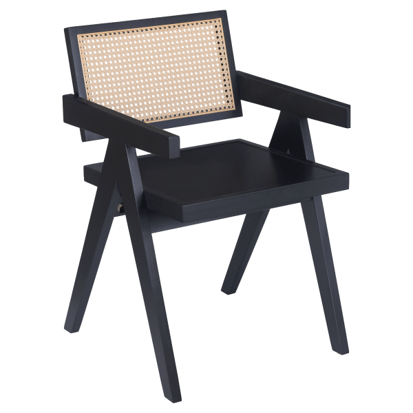 Gaia Cane Arm Chair Interior