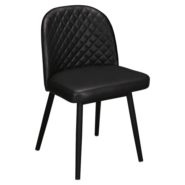 Elmada Metal Restaurant Chair Interior